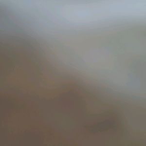 Meet your Posher, Lizbeth